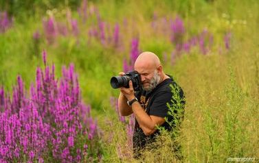 Fotografia Facelii
