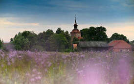 Kości&oacute;ł w Osieku