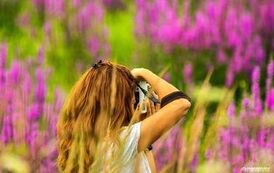 Fotografka w facelii