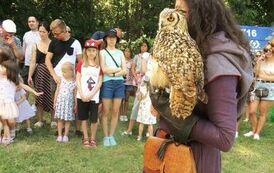 dzieci i dorośli oglądają pokaz z sową