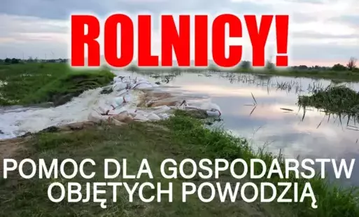 Zdjęcie artykułu z dnia 04-08-2025