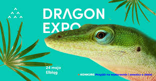 Zdjęcie do Zaproszenie na Dragon Expo Elblag