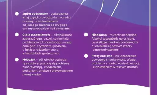 Zdjęcie artykułu z dnia 19-09-2025