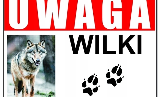Napis uwaga wilki i zdjęcie wilka